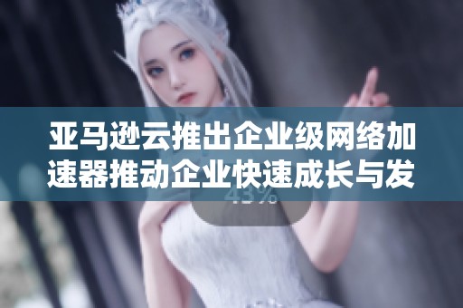 亚马逊云推出企业级网络加速器推动企业快速成长与发展