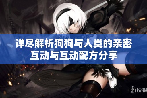 详尽解析狗狗与人类的亲密互动与互动配方分享