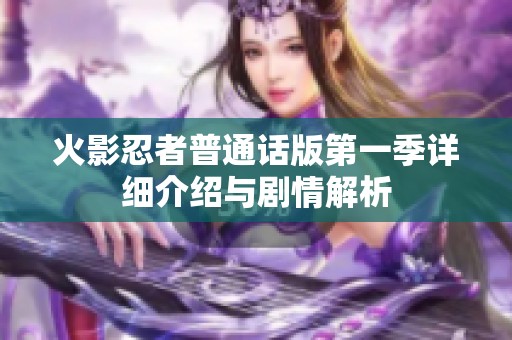 火影忍者普通话版第一季详细介绍与剧情解析