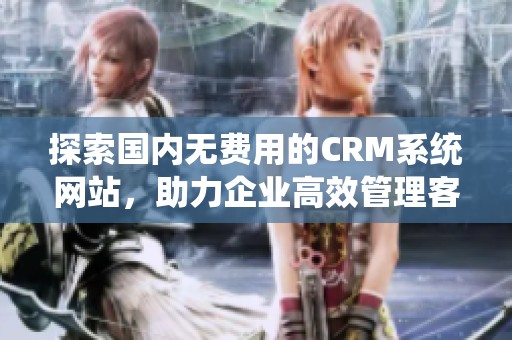 探索国内无费用的CRM系统网站，助力企业高效管理客户关系