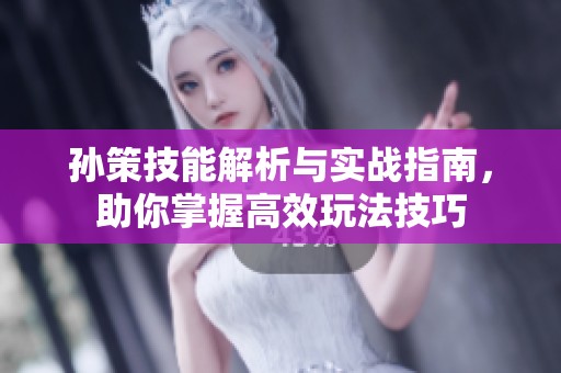 孙策技能解析与实战指南，助你掌握高效玩法技巧