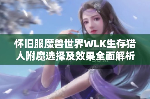 怀旧服魔兽世界WLK生存猎人附魔选择及效果全面解析