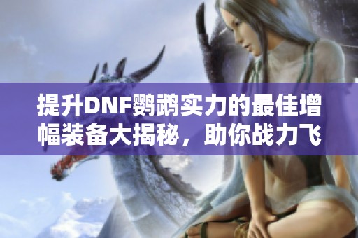 提升DNF鹦鹉实力的最佳增幅装备大揭秘，助你战力飞升
