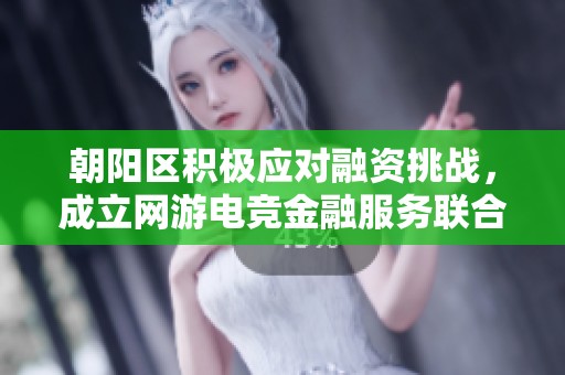 朝阳区积极应对融资挑战，成立网游电竞金融服务联合体助力产业发展