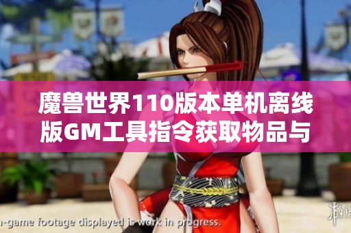 魔兽世界110版本单机离线版GM工具指令获取物品与AI假人玩法介绍