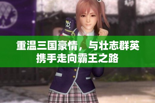 重温三国豪情，与壮志群英携手走向霸王之路