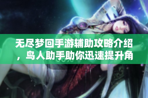 无尽梦回手游辅助攻略介绍，鸟人助手助你迅速提升角色等级