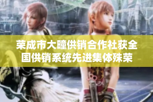 荣成市大疃供销合作社获全国供销系统先进集体殊荣