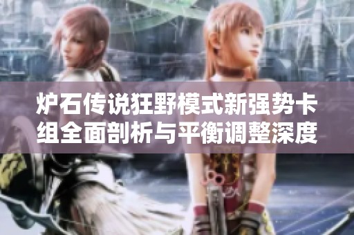 炉石传说狂野模式新强势卡组全面剖析与平衡调整深度解读