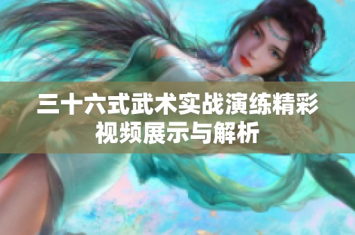 三十六式武术实战演练精彩视频展示与解析