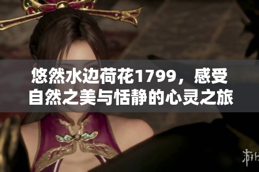 悠然水边荷花1799，感受自然之美与恬静的心灵之旅