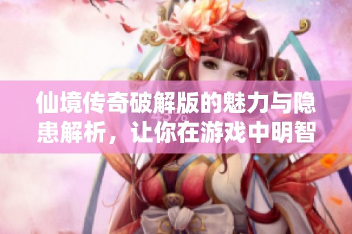 仙境传奇破解版的魅力与隐患解析，让你在游戏中明智选择