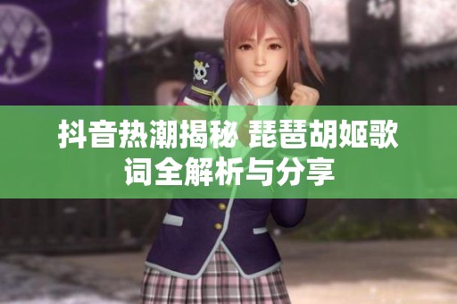 抖音热潮揭秘 琵琶胡姬歌词全解析与分享