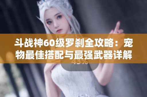 斗战神60级罗刹全攻略：宠物最佳搭配与最强武器详解
