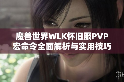 魔兽世界WLK怀旧服PVP宏命令全面解析与实用技巧分享