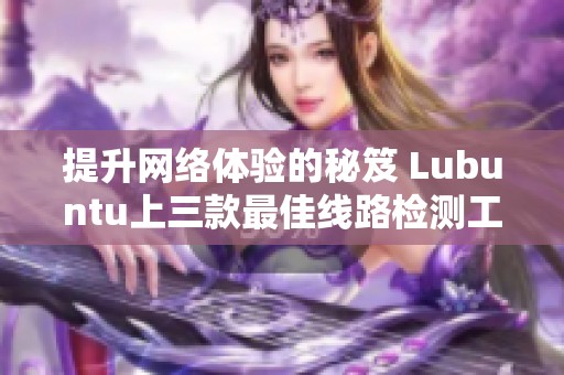 提升网络体验的秘笈 Lubuntu上三款最佳线路检测工具推荐