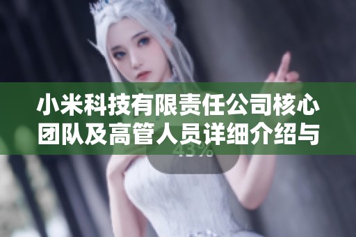 小米科技有限责任公司核心团队及高管人员详细介绍与背景分析