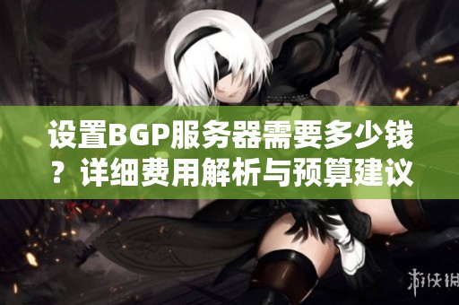 设置BGP服务器需要多少钱？详细费用解析与预算建议