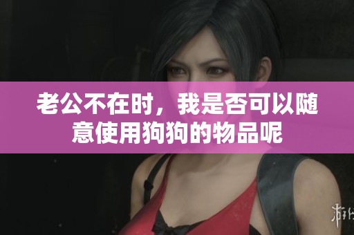 老公不在时，我是否可以随意使用狗狗的物品呢