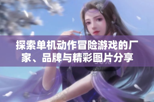 探索单机动作冒险游戏的厂家、品牌与精彩图片分享