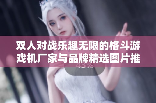 双人对战乐趣无限的格斗游戏机厂家与品牌精选图片推荐