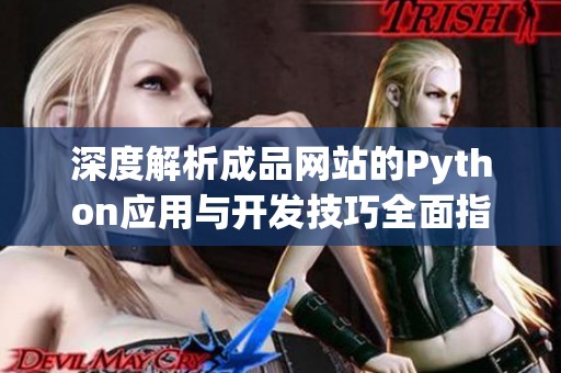 深度解析成品网站的Python应用与开发技巧全面指南