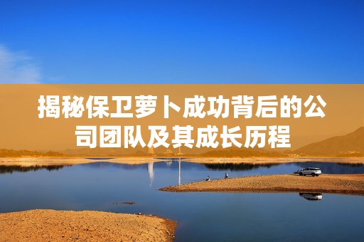 揭秘保卫萝卜成功背后的公司团队及其成长历程