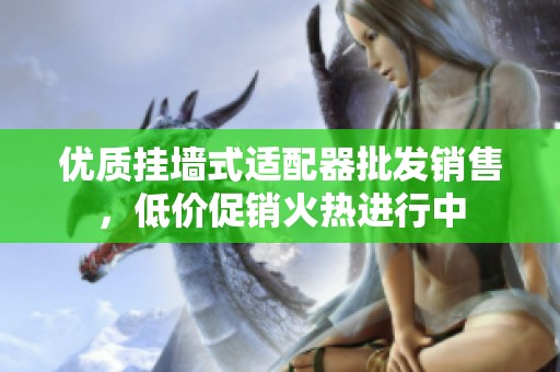 优质挂墙式适配器批发销售，低价促销火热进行中