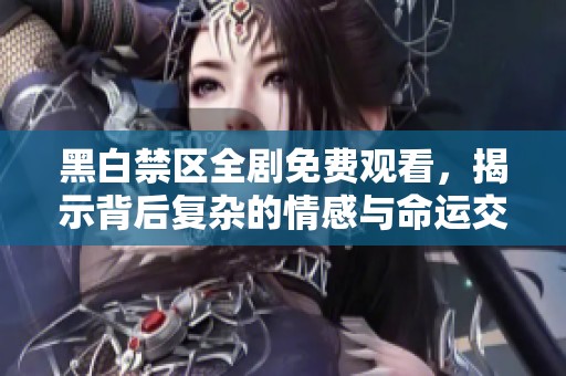 黑白禁区全剧免费观看，揭示背后复杂的情感与命运交织