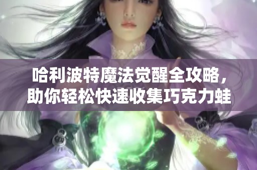 哈利波特魔法觉醒全攻略，助你轻松快速收集巧克力蛙秘籍解析