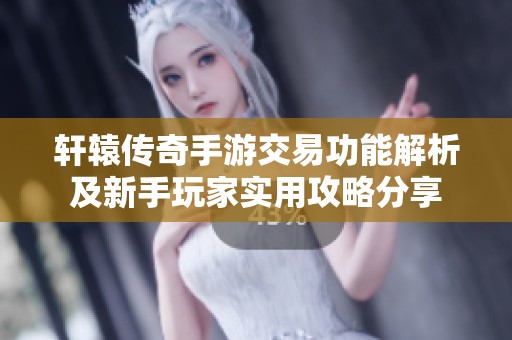 轩辕传奇手游交易功能解析及新手玩家实用攻略分享