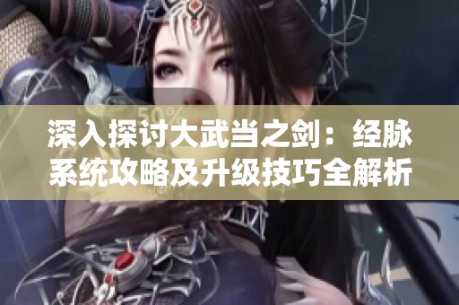 深入探讨大武当之剑：经脉系统攻略及升级技巧全解析