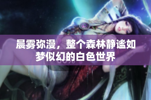 晨雾弥漫，整个森林静谧如梦似幻的白色世界