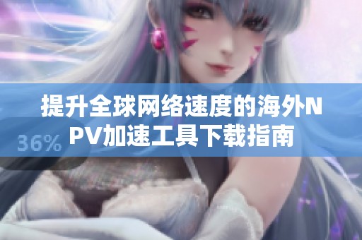 提升全球网络速度的海外NPV加速工具下载指南