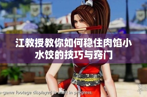 江教授教你如何稳住肉馅小水饺的技巧与窍门