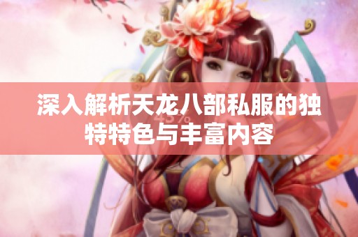 深入解析天龙八部私服的独特特色与丰富内容