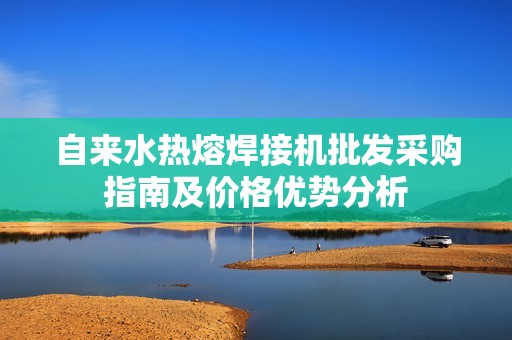 自来水热熔焊接机批发采购指南及价格优势分析