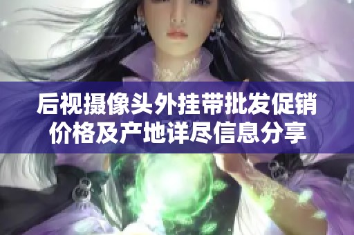 后视摄像头外挂带批发促销价格及产地详尽信息分享
