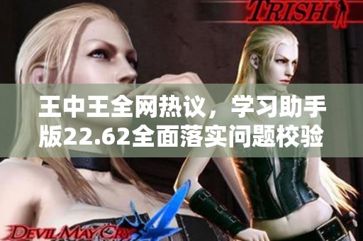 王中王全网热议，学习助手版22.62全面落实问题校验新举措
