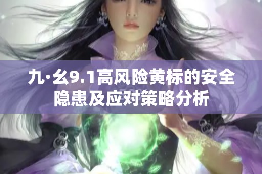 九·幺9.1高风险黄标的安全隐患及应对策略分析