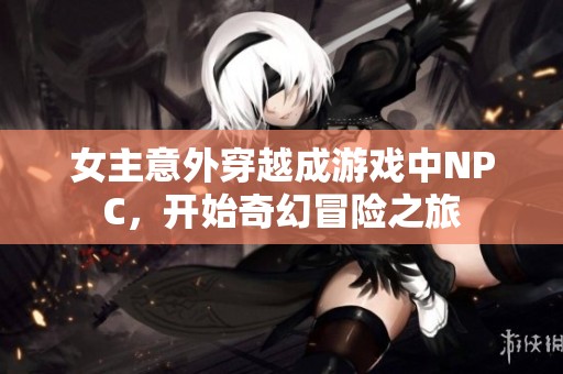 女主意外穿越成游戏中NPC，开始奇幻冒险之旅