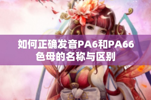 如何正确发音PA6和PA66色母的名称与区别