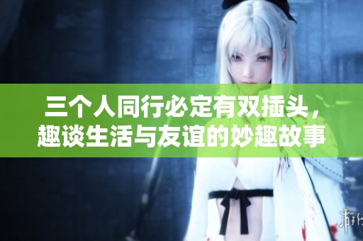 三个人同行必定有双插头，趣谈生活与友谊的妙趣故事