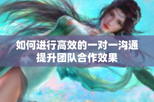 如何进行高效的一对一沟通提升团队合作效果