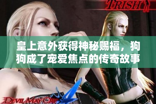 皇上意外获得神秘赐福，狗狗成了宠爱焦点的传奇故事