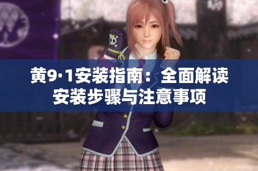 黄9·1安装指南：全面解读安装步骤与注意事项