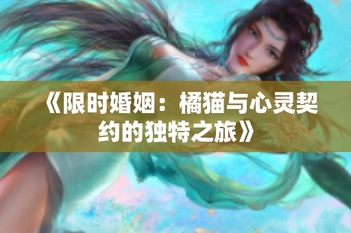 《限时婚姻：橘猫与心灵契约的独特之旅》