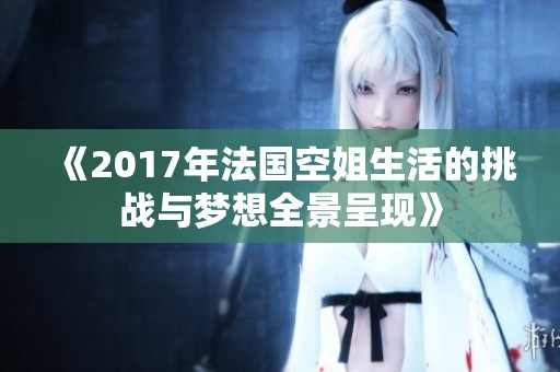 《2017年法国空姐生活的挑战与梦想全景呈现》