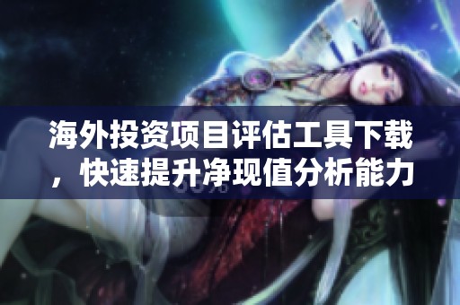 海外投资项目评估工具下载，快速提升净现值分析能力